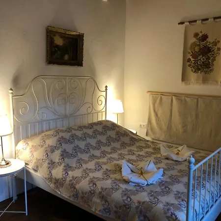 Liliana Vendeghaz Terény