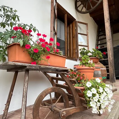 Liliana Vendeghaz Apartmán